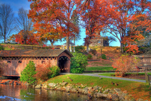 Covered-Bridge-Fall_crop Bridge in Stanley Park